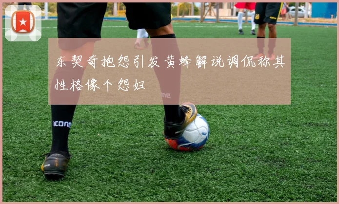 东契奇抱怨引发黄蜂解说调侃称其性格像个怨妇