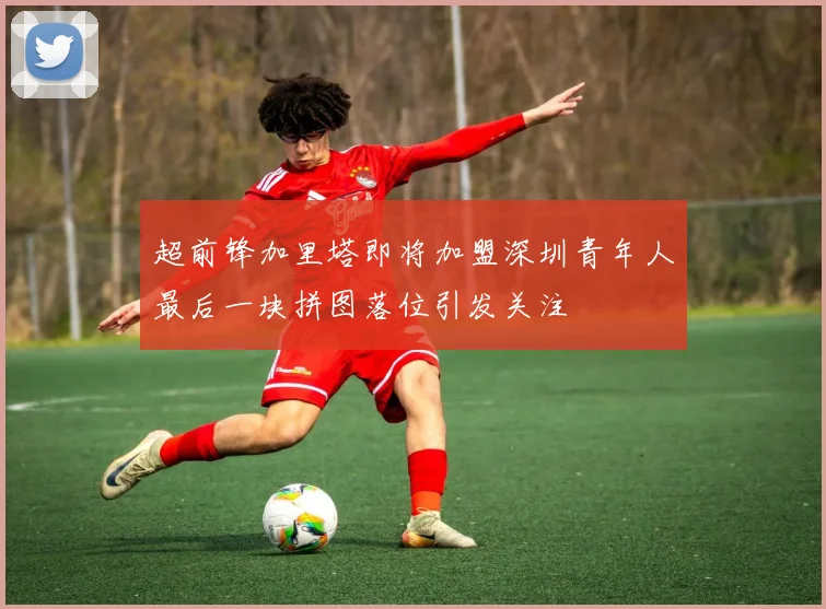 超前锋加里塔即将加盟深圳青年人最后一块拼图落位引发关注